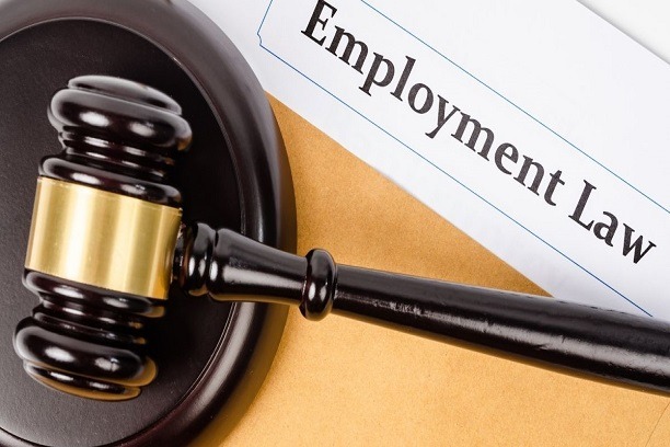Employment Law Services