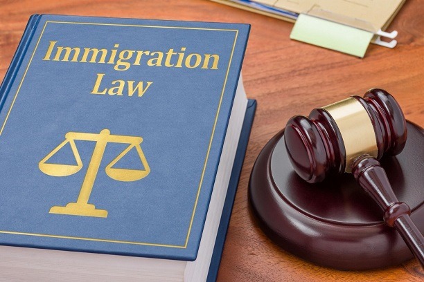 Immigration Law Services