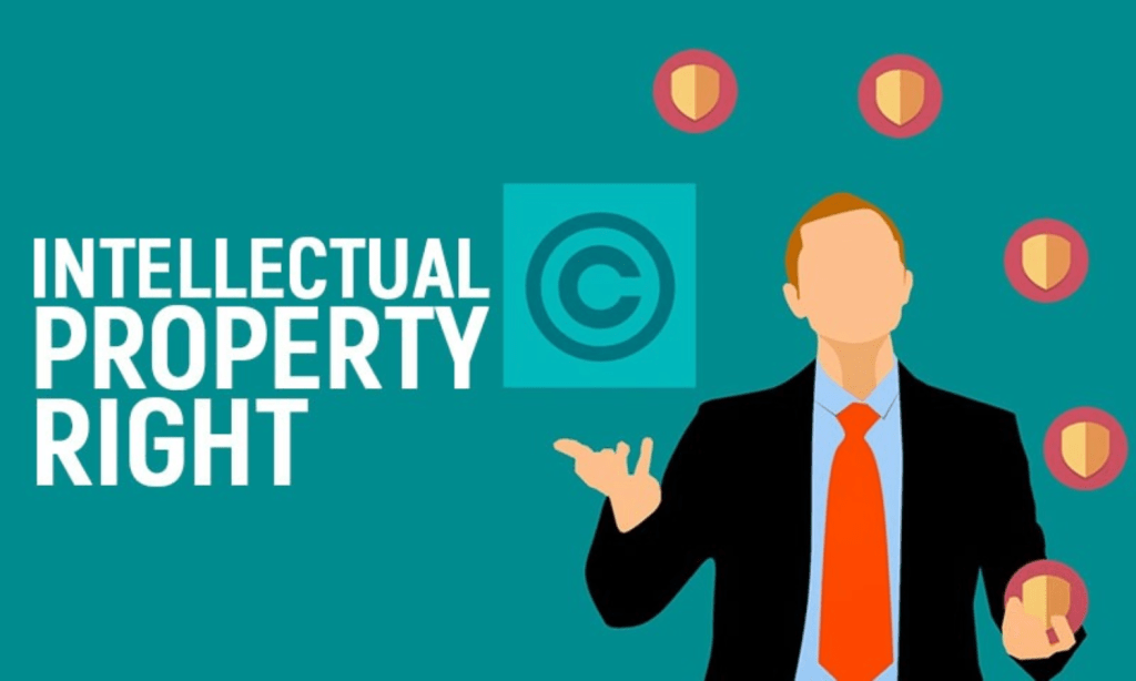 Intellectual Property Rights in Private