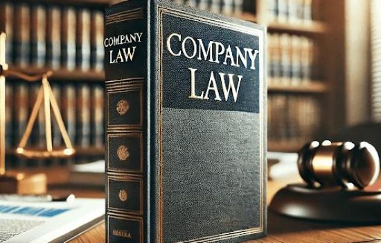 Companies Act 2013 Arrangement of Section